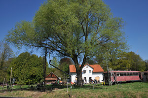 20090419_DSC_2057.JPG