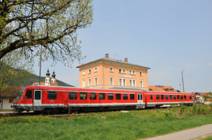 20090501_DSC_2311.JPG