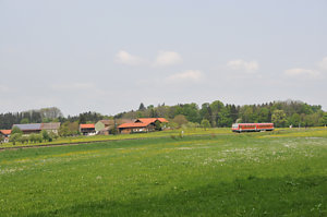 20090501_DSC_2415.JPG