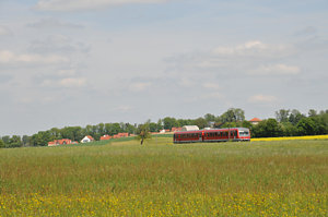 20100524_DSC_3456.JPG