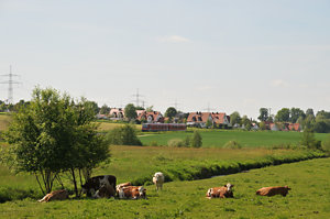 20100524_DSC_3484.JPG