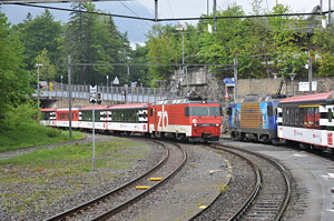 20100602_DSC_5165.JPG