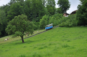 20100603_DSC_5764.JPG