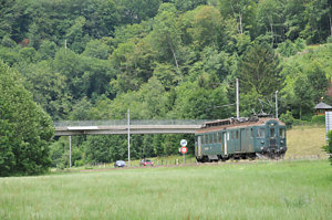 20100730_DSC_8596.JPG