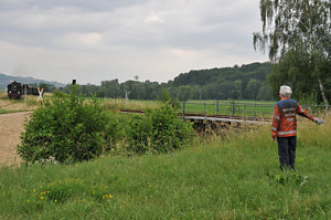 20110602_DSC_8382.JPG