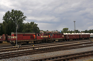 20110809_DSC_2287.JPG