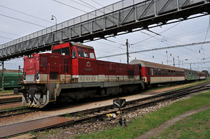 20110813_DSC_3841.JPG