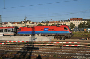 20111001_DSC_6226.JPG