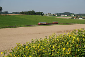 20200808_DSC09469.JPG